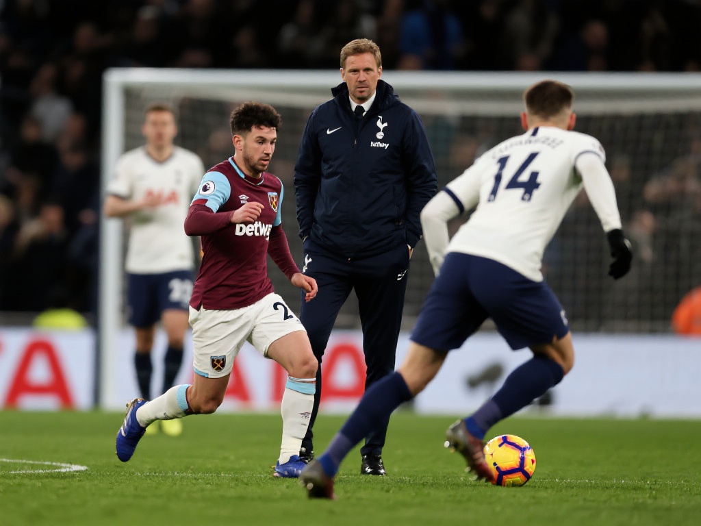 想要在众多 想要在众多